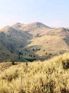 Breathtaking mountain views - 309 Madison Ave, Ketchum ID
