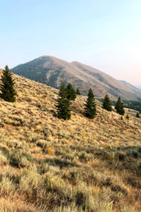 Breathtaking mountain views - 309 Madison Ave, Ketchum ID