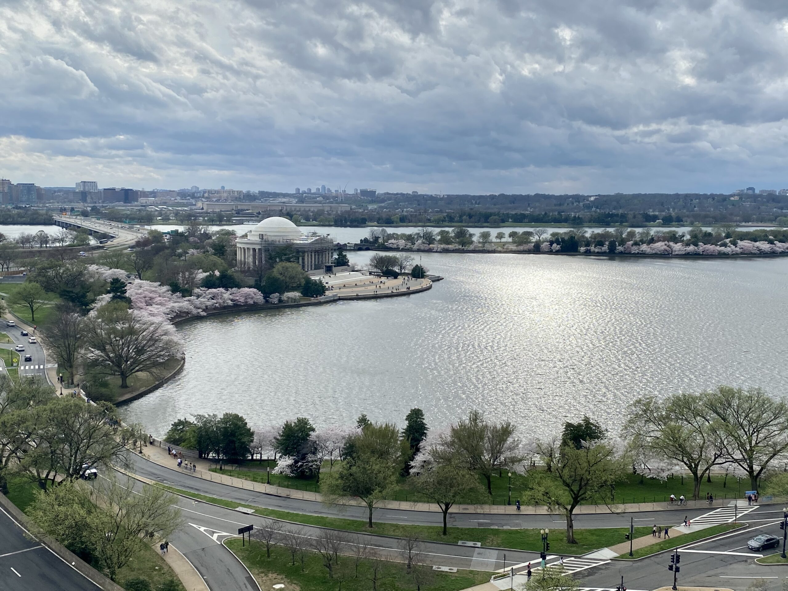 Cherry Blossoms at The AD Agency in Wasington, DC